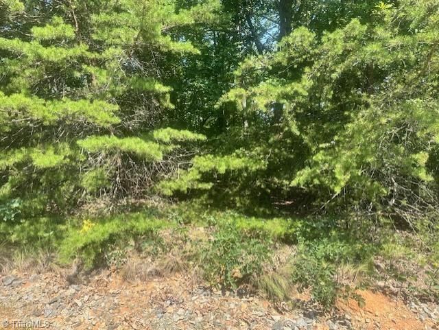 1953 Sierra Trace Road Denton, NC 27239 - Photo 8 of 8