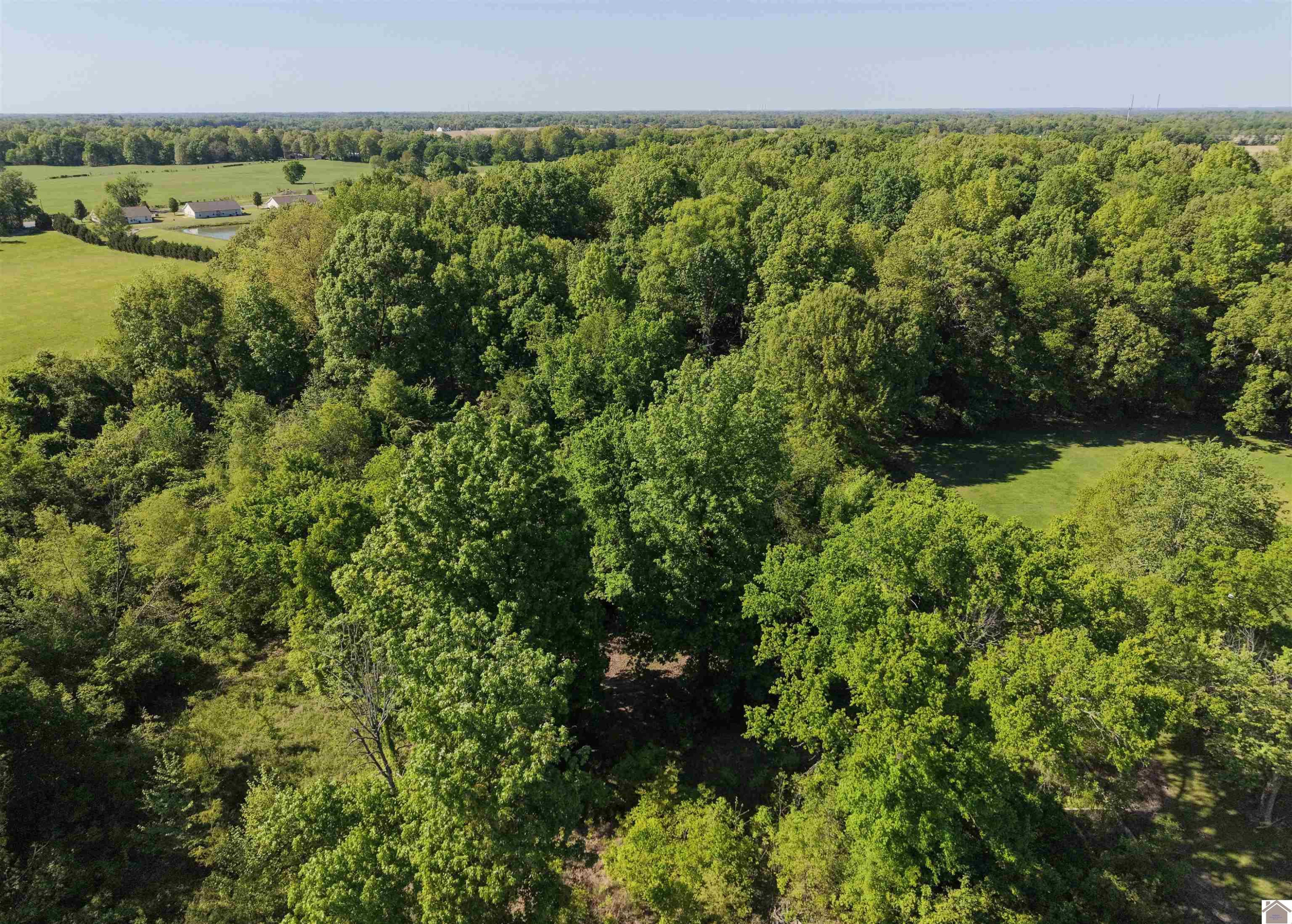 8855 Harris Road West Paducah, KY 42086 - Photo 5 of 13 Photo 5