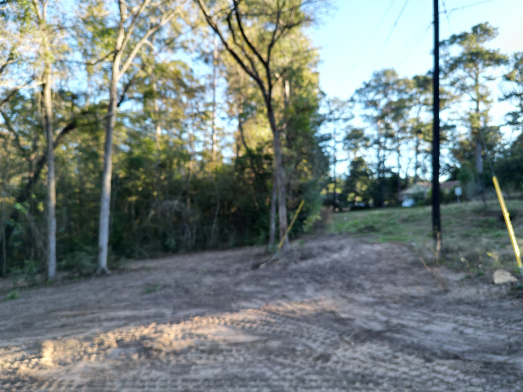 12604 Rollingwood Loop Conroe, TX 77303 - Photo 4 of 11