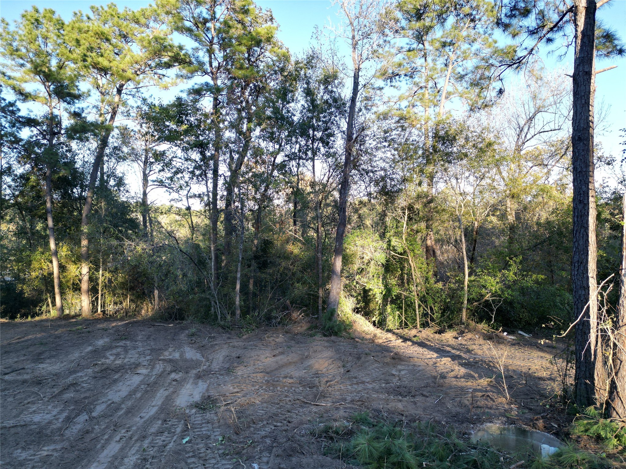 12604 Rollingwood Loop Conroe, TX 77303 - Photo 5 of 11