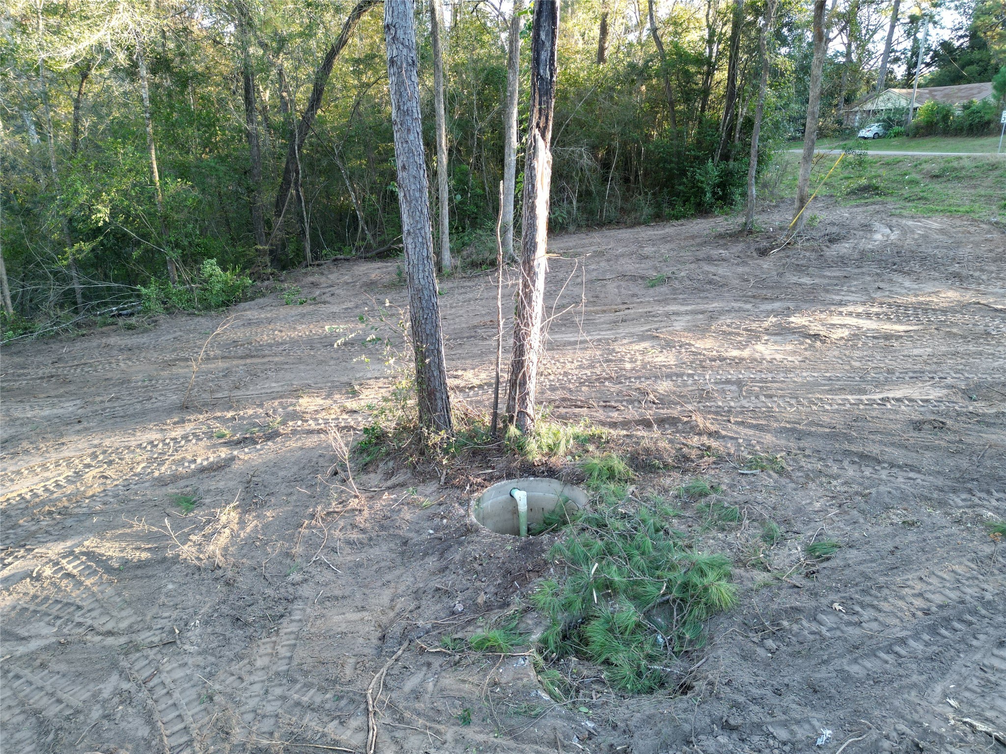 12604 Rollingwood Loop Conroe, TX 77303 - Photo 7 of 11