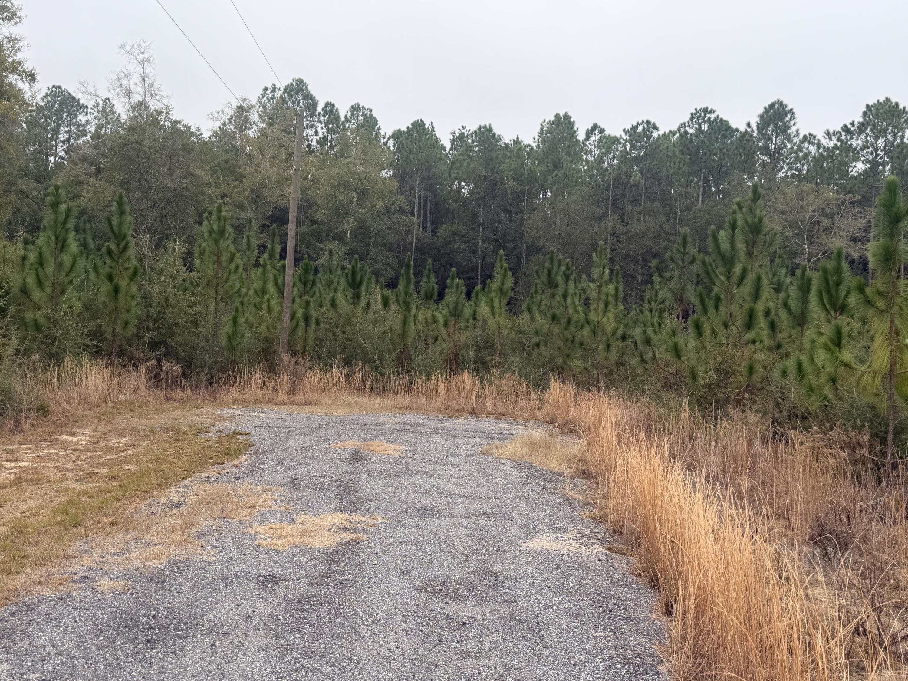 5190 South A Jones Road Milton, FL 32583 - Photo 4 of 4 IMG_8297