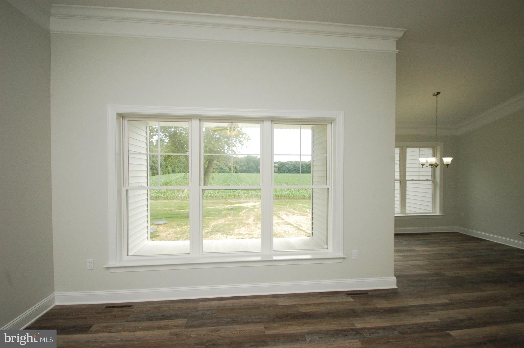 9017 Clendaniel Pond Road Lincoln, DE 19960 - Photo 15 of 30 Windows in Great Room