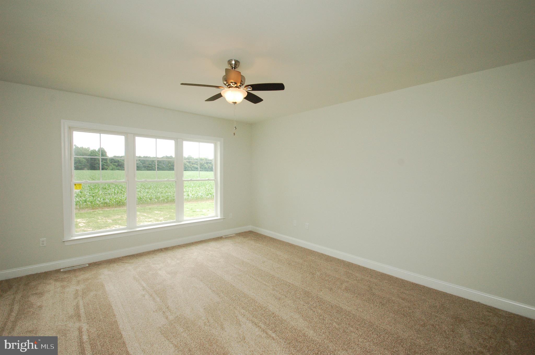 9017 Clendaniel Pond Road Lincoln, DE 19960 - Photo 20 of 30 Master Bedroom