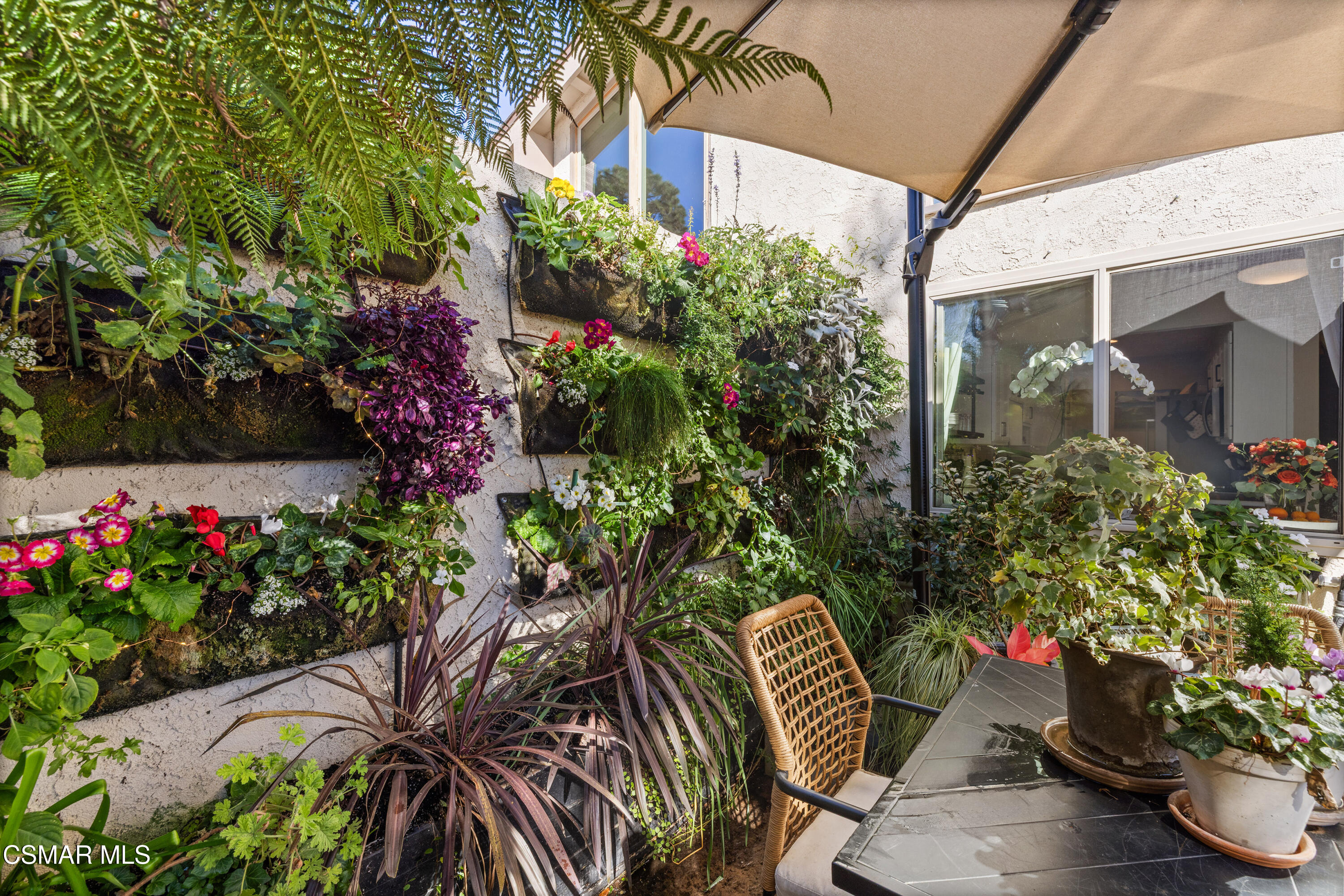 2225 Edelweiss Street, Unit 43 Oxnard, CA 93036 - Photo 21 of 26 a view of a potted plants in front of a house