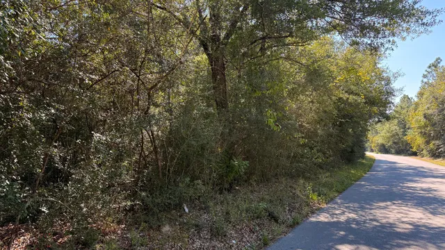 a view of a yard with a tree