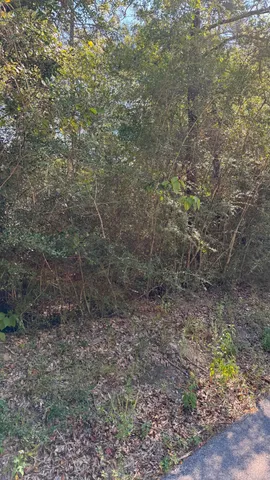 $57,500 | Tbd Painter Branch Road, Crestview, FL 32539