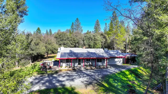 a view of a park with large trees