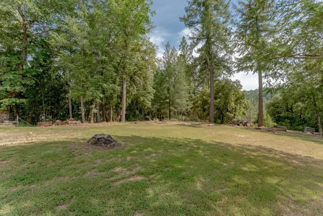 a view of a house with a big yard potted plants and large tree