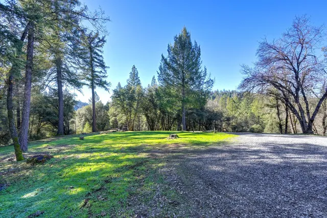an aerial view of a house with swimming pool and large trees