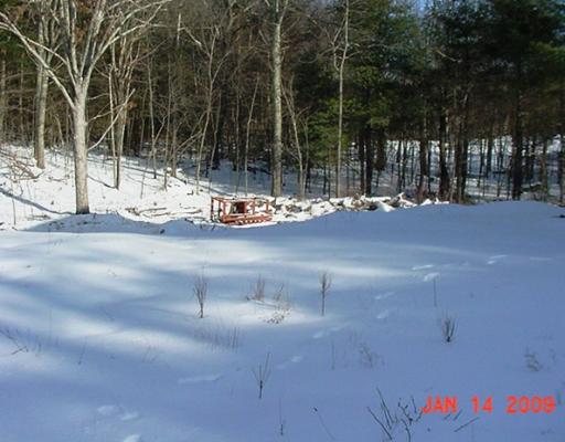 49 Mill Road Foster, RI 02825 - Photo 5 of 6 Yard/Garden.