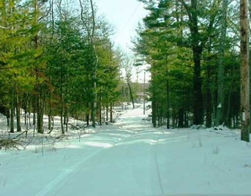 49 Mill Road Foster, RI 02825 - Photo 6 of 6 Land.