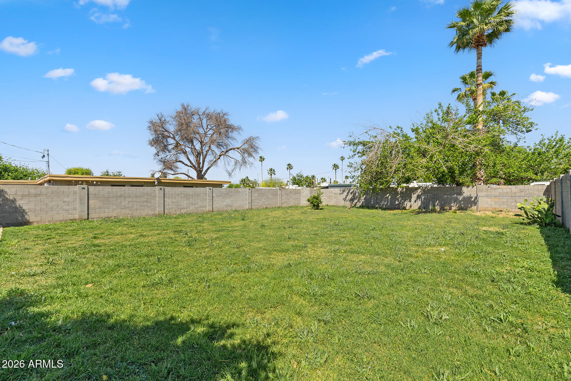 6314 West Lamar Road Glendale, AZ 85301 - Photo 22 of 29 Huge Grassy Yard!