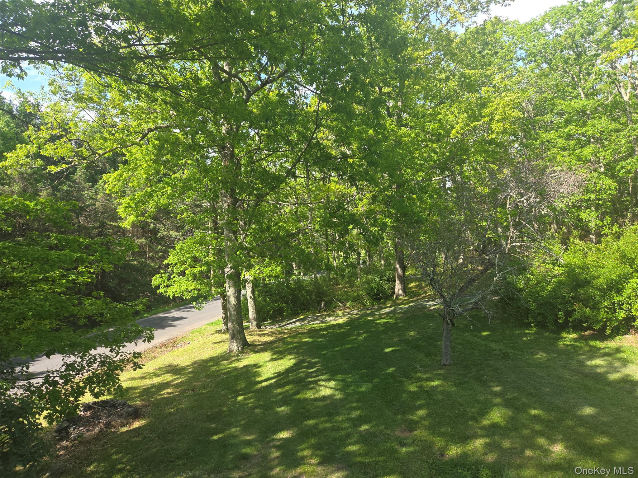 63 Otens Road Ellenville, NY 12428 - Photo 26 of 32 a view of outdoor space and yard