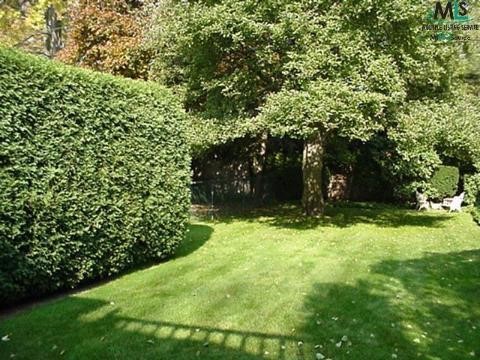 190 Moran Road Grosse Pointe, MI 48236 - Photo 6 of 6 830825-5.JPG