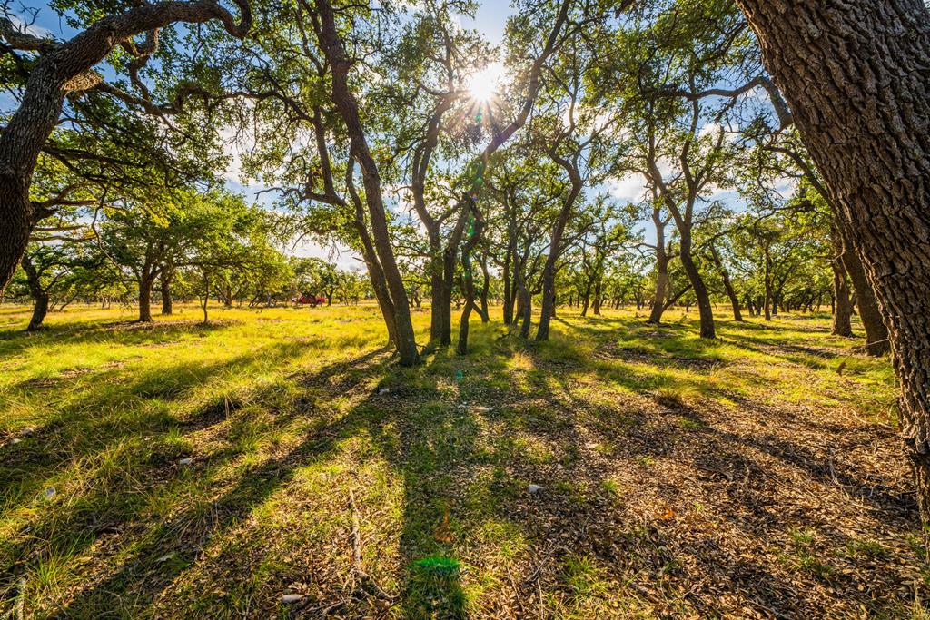 Lot 33 Reservation Road, Unit 33 Harper, TX 78631 - Photo 1 of 5 Main View