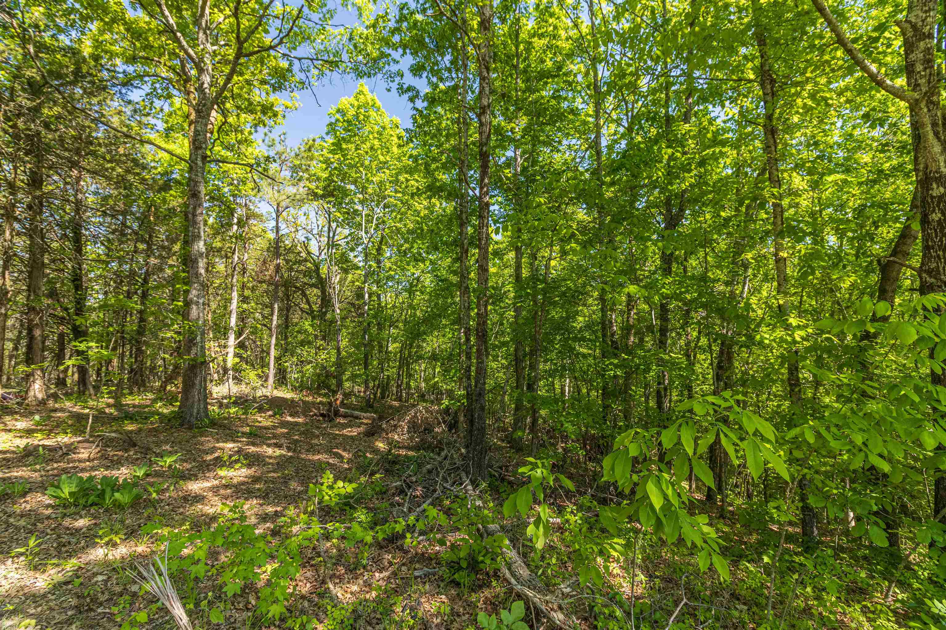 350 Smith Store Road Guys, TN 38339 - Photo 36 of 38