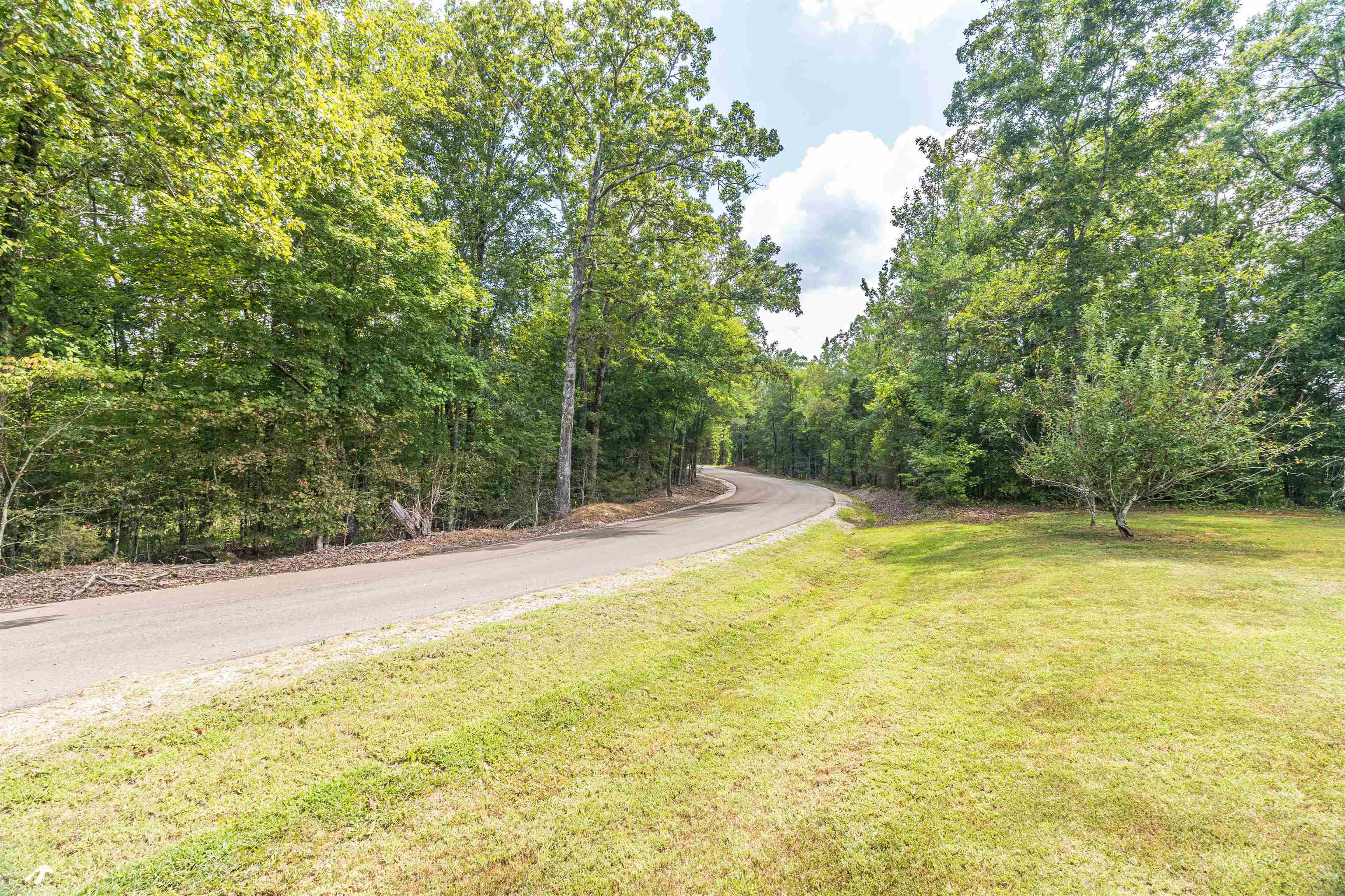 350 Smith Store Road Guys, TN 38339 - Photo 38 of 38