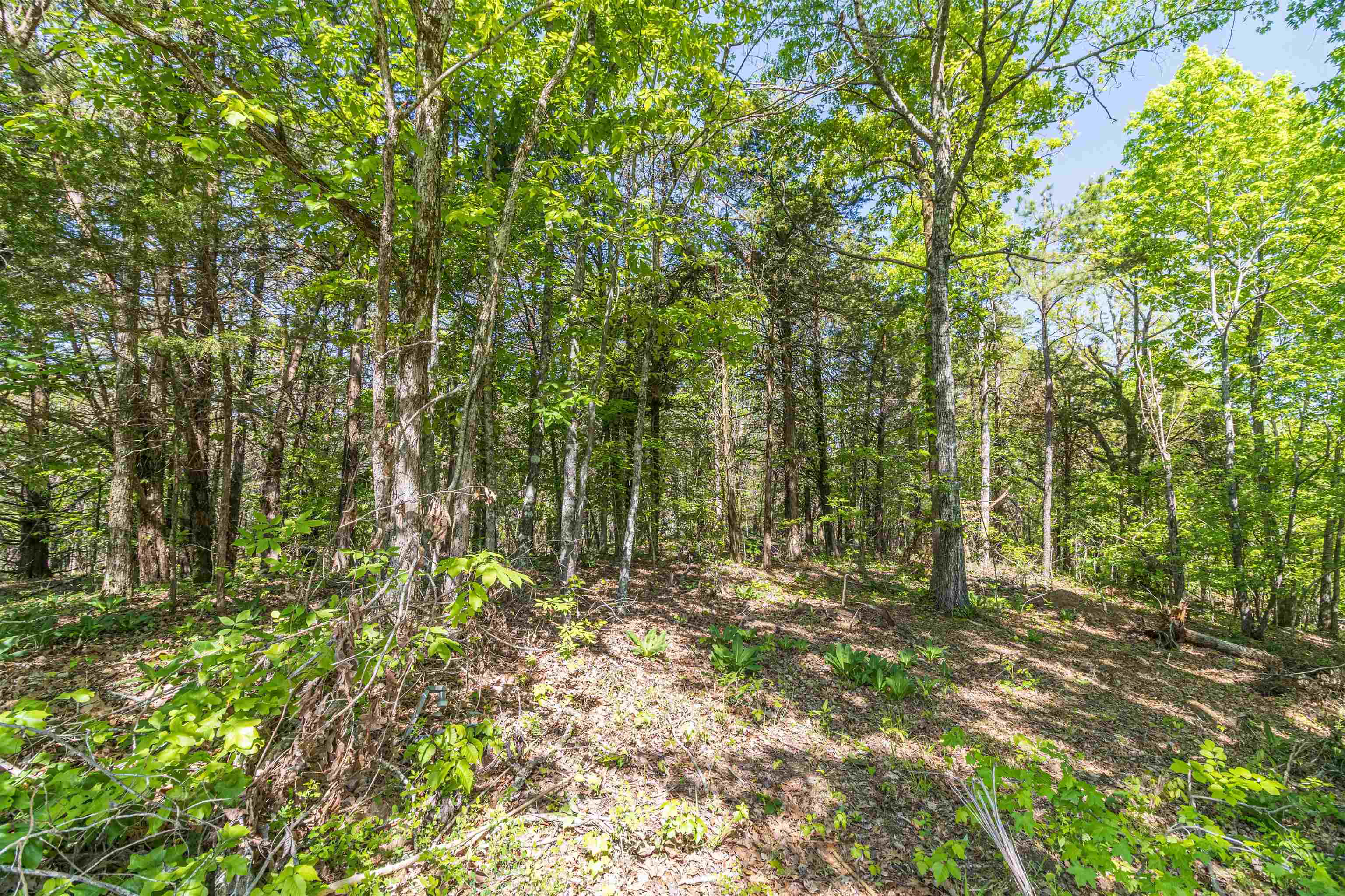 350 Smith Store Road Guys, TN 38339 - Photo 7 of 38