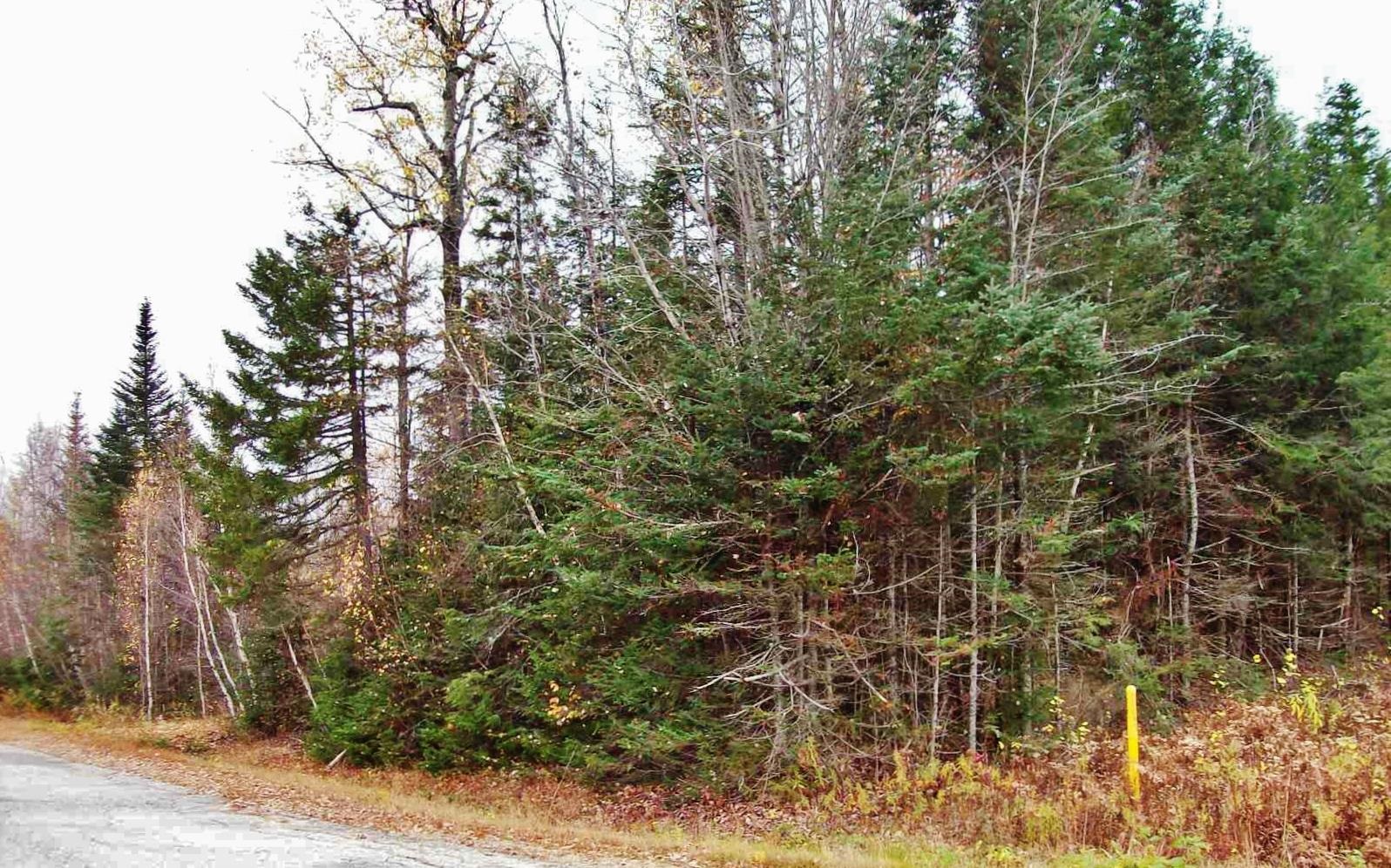 29 Gorham Heights Road Gorham, NH 03581 - Photo 1 of 1