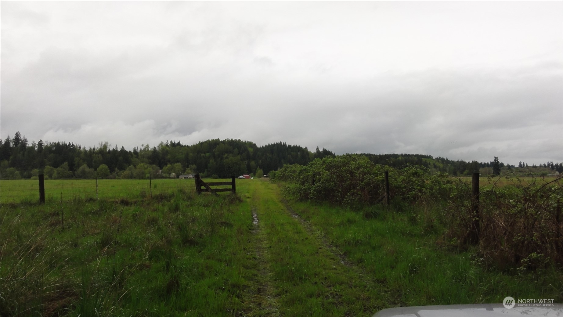 0 State Route 506 Toledo, WA 98591 - Photo 20 of 36 a view of a field of grass and trees