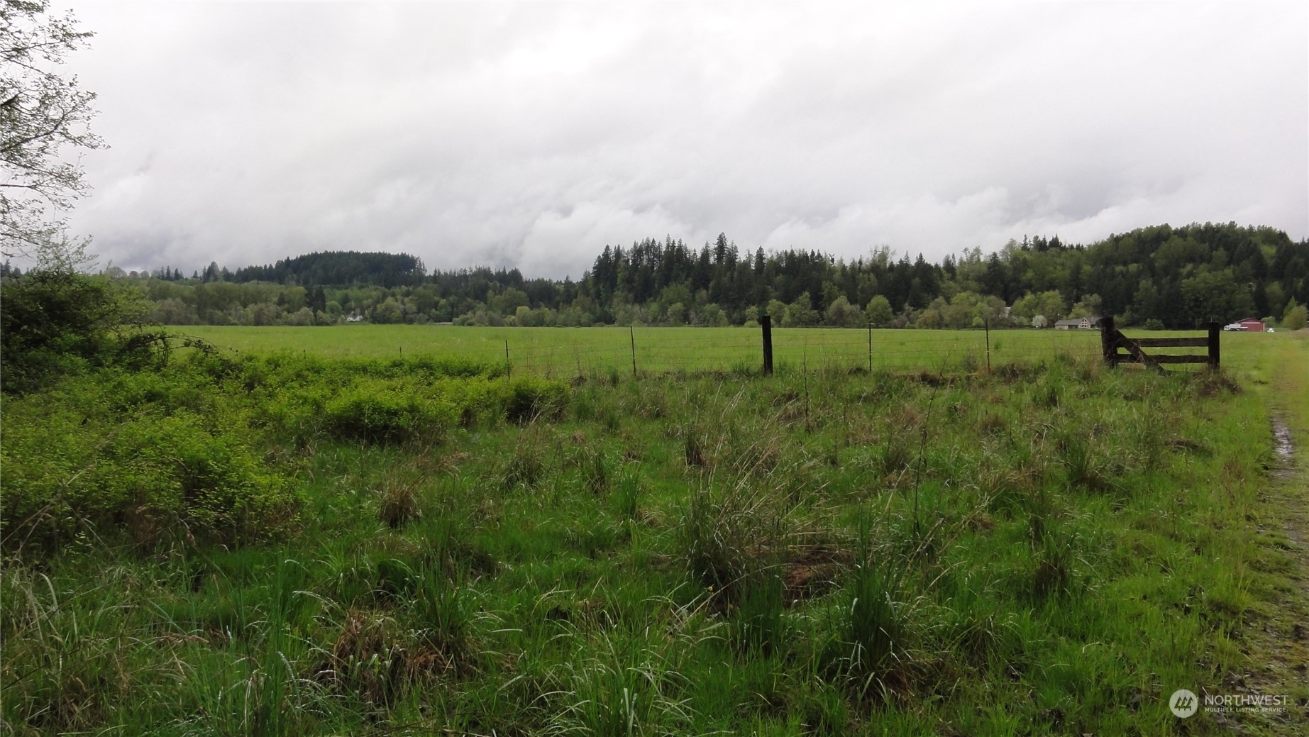 0 State Route 506 Toledo, WA 98591 - Photo 21 of 36 a view of a green field with trees in the background