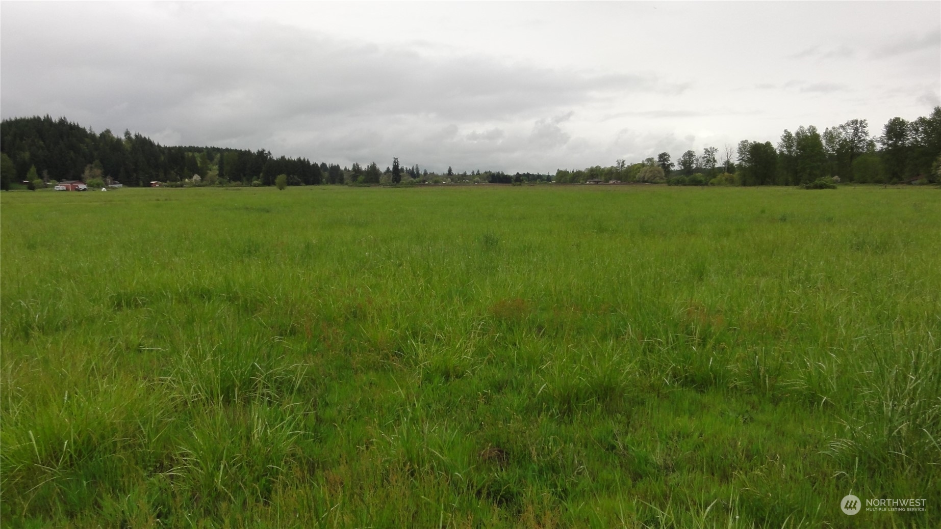 0 State Route 506 Toledo, WA 98591 - Photo 23 of 36 a view of an outdoor space and a yard