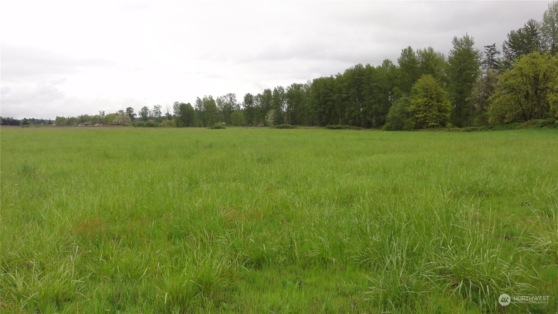 0 State Route 506 Toledo, WA 98591 - Photo 24 of 36 a view of a green field with wooden fence