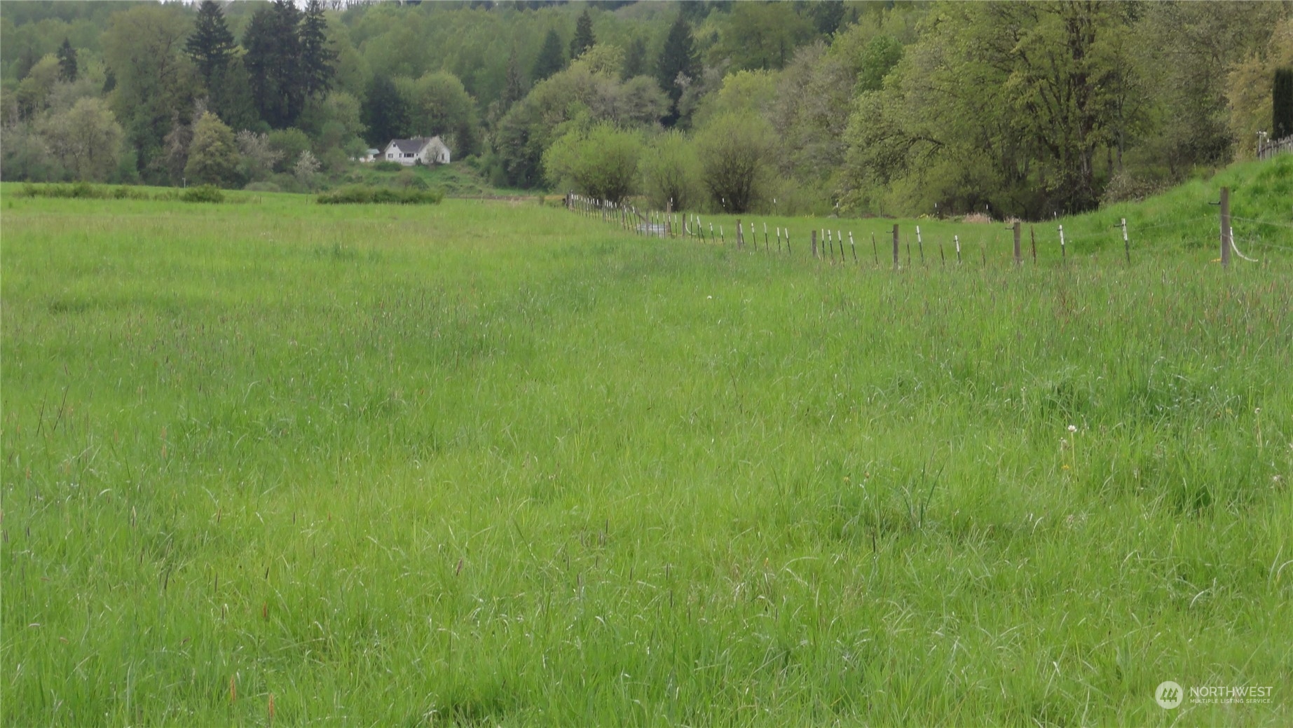 0 State Route 506 Toledo, WA 98591 - Photo 26 of 36 a view of a lush green space