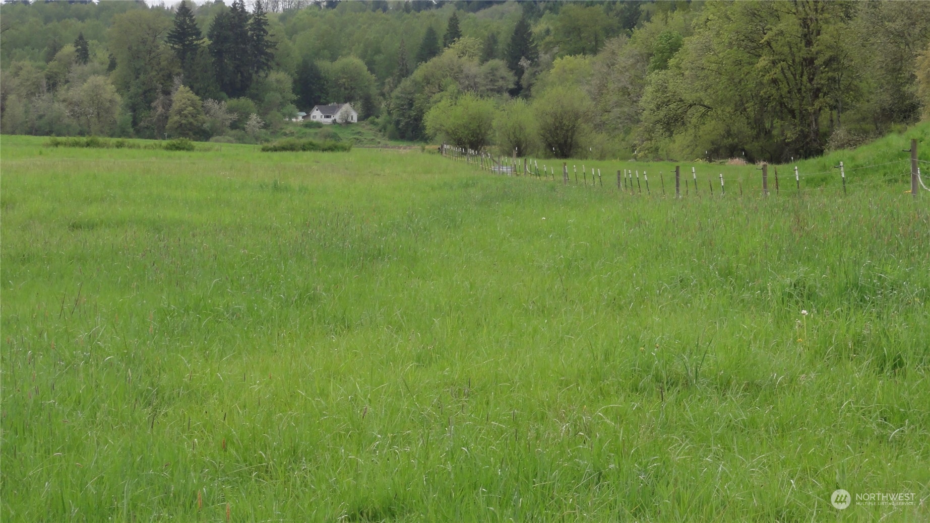 0 State Route 506 Toledo, WA 98591 - Photo 27 of 36 a view of an outdoor space and a yard