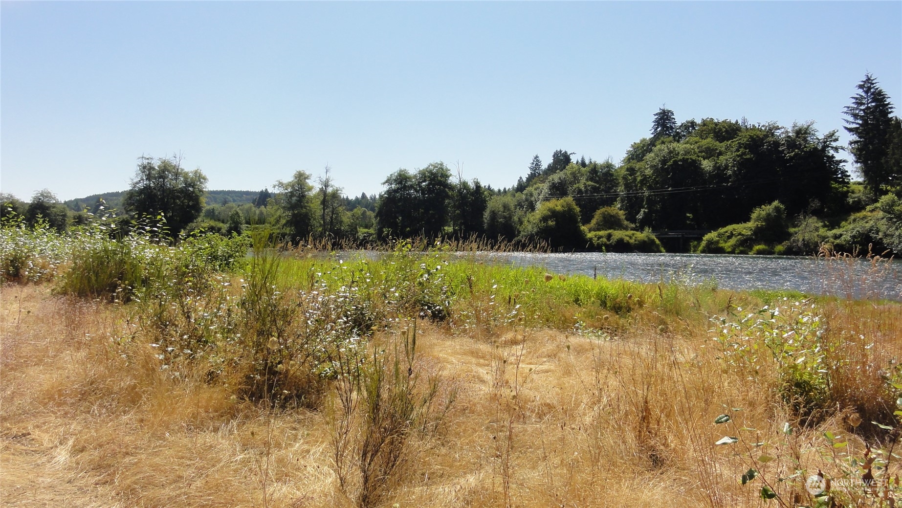 0 State Route 506 Toledo, WA 98591 - Photo 3 of 36 a view of a swimming pool with a yard