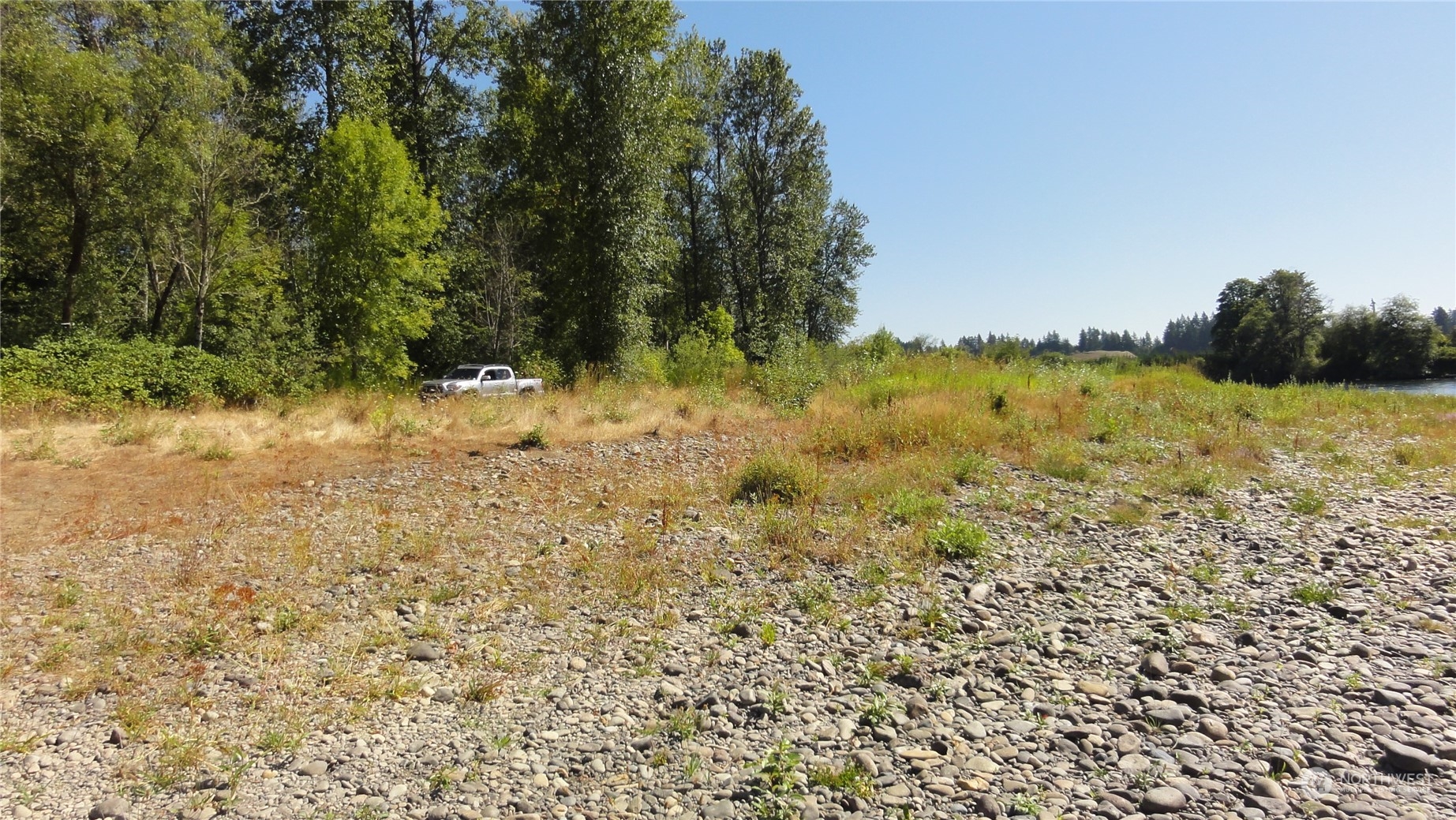 0 State Route 506 Toledo, WA 98591 - Photo 5 of 36 a view of a yard with trees