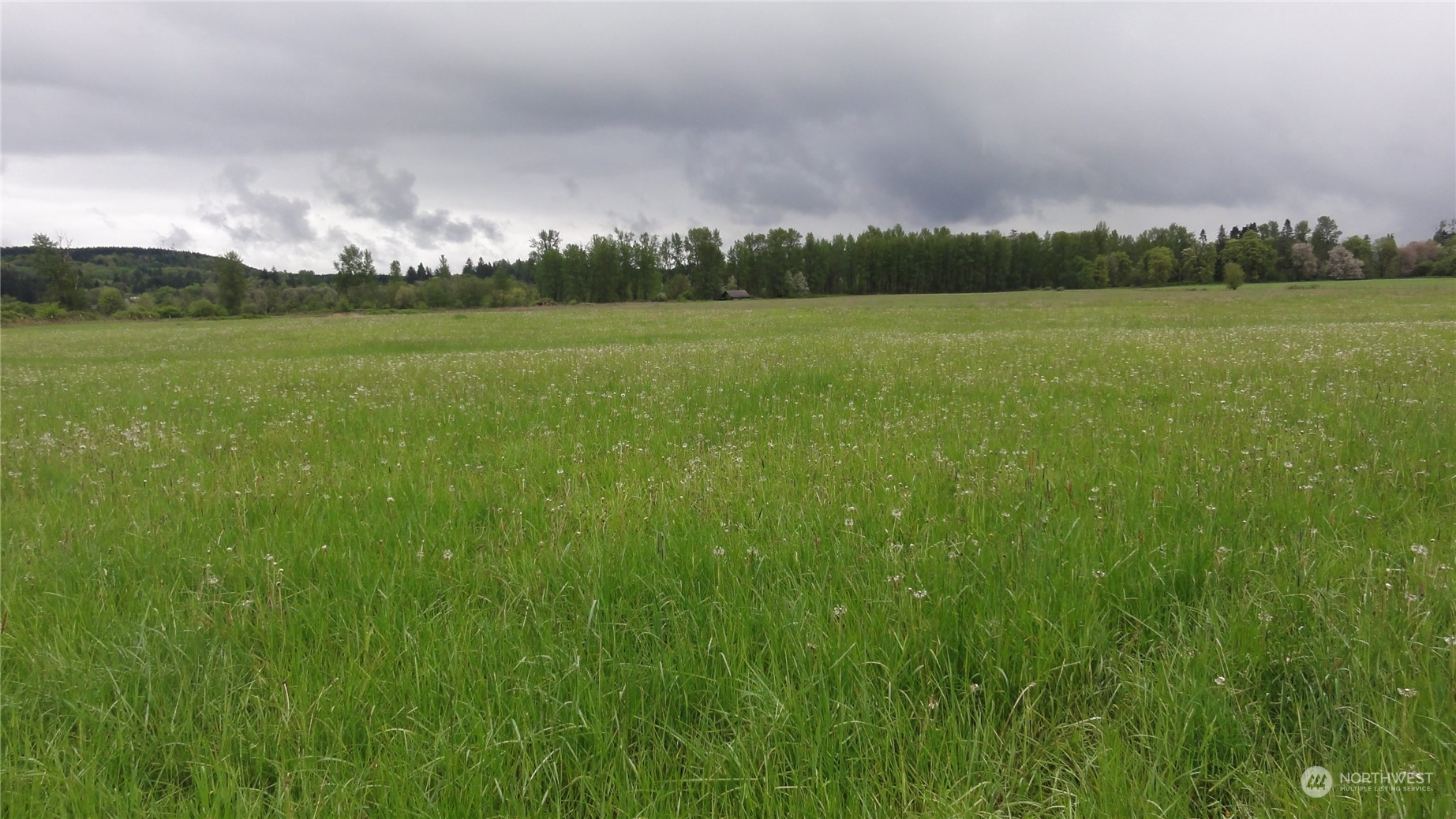 0 State Route 506 Toledo, WA 98591 - Photo 10 of 36 a view of a green field with trees in the background