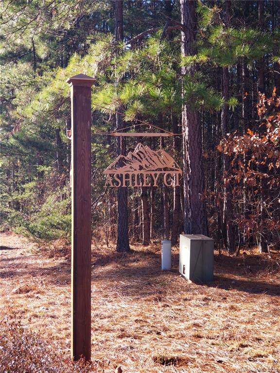 0 Ashley Court, Unit 3 Mill Spring, NC 28756 - Photo 5 of 17 a view of a entrance gate of the house and trees