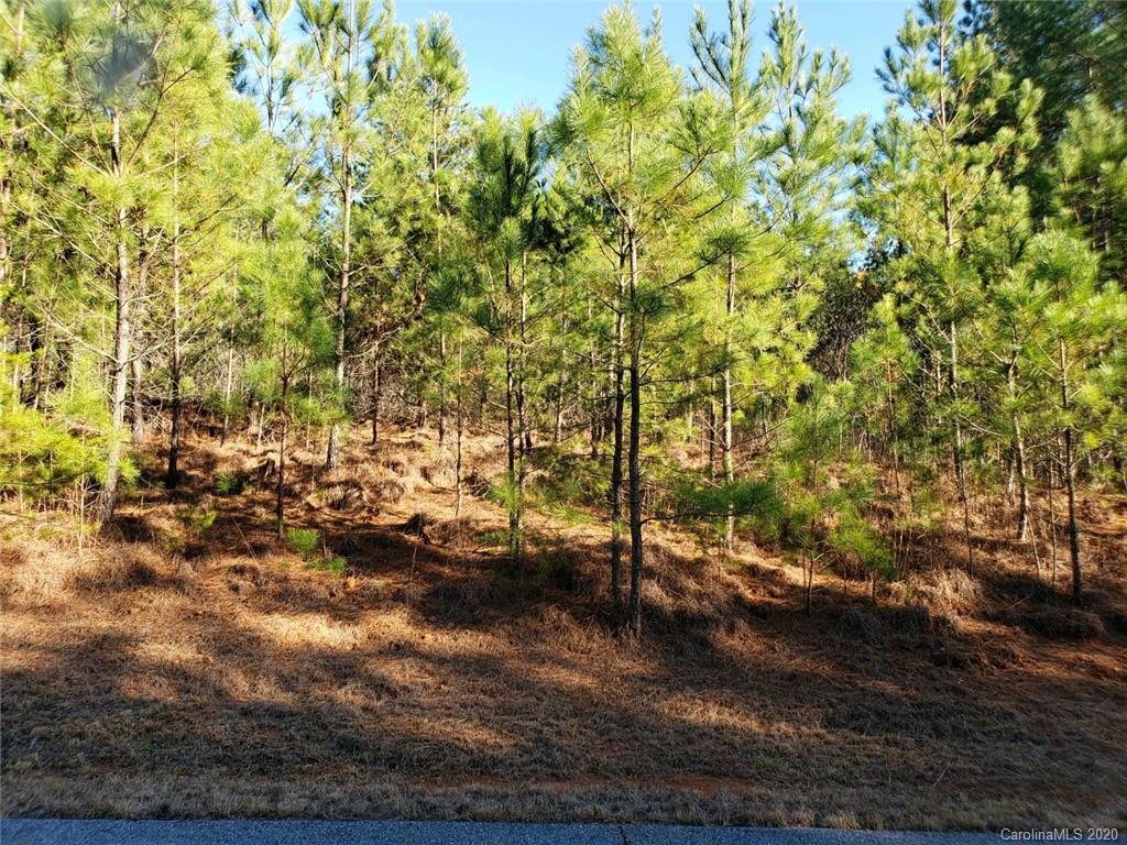 0 Ashley Court, Unit 3 Mill Spring, NC 28756 - Photo 8 of 17 a view of a yard with some trees