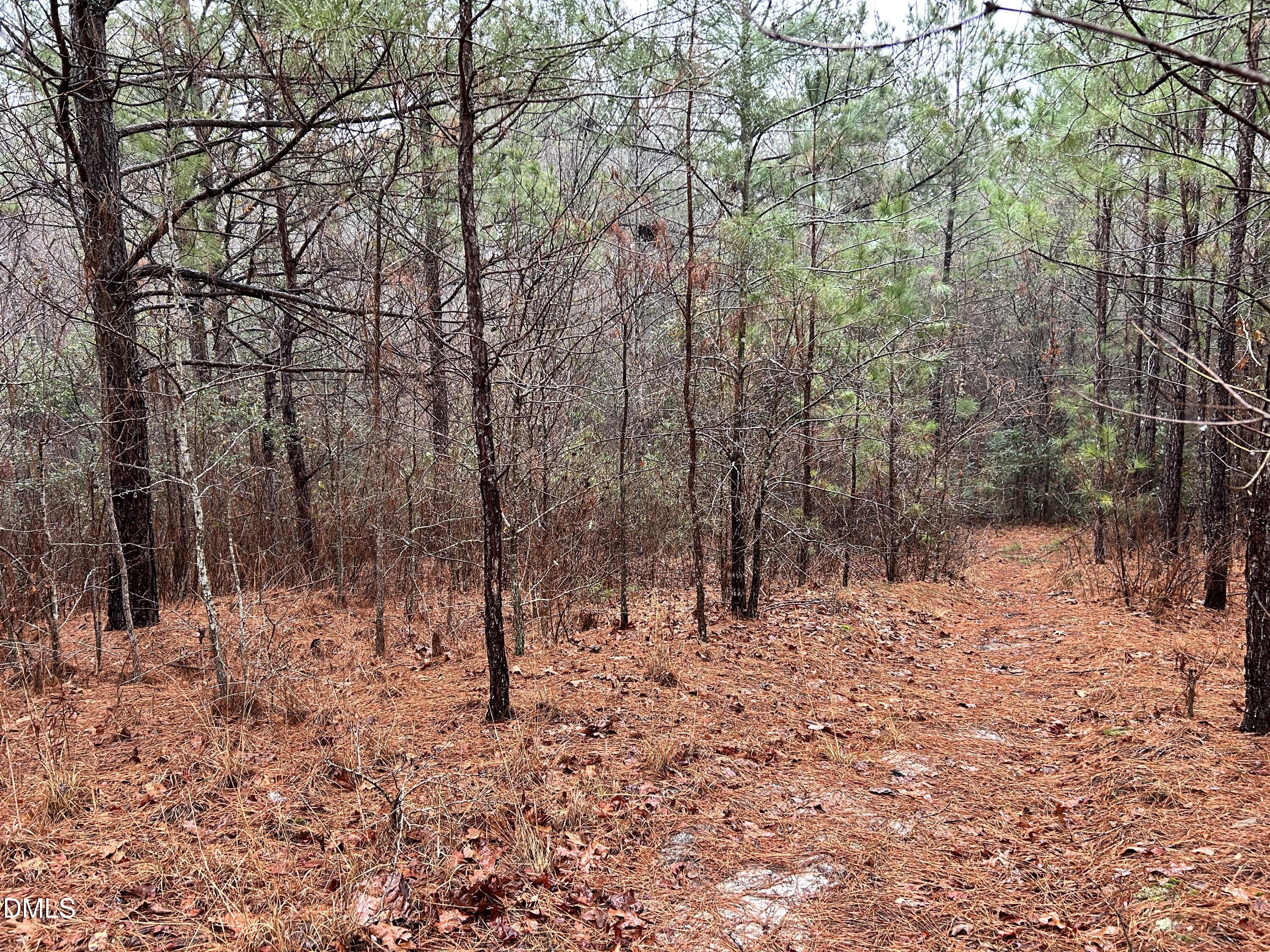 195 Appleton Way Sanford, NC 27332 - Photo 11 of 21 IMG_6898