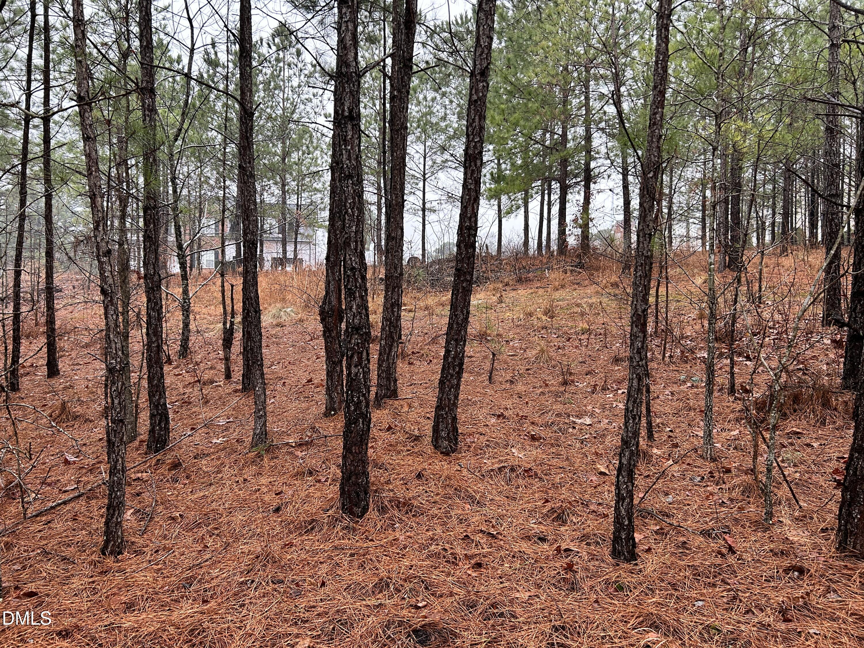 195 Appleton Way Sanford, NC 27332 - Photo 12 of 21 IMG_6900