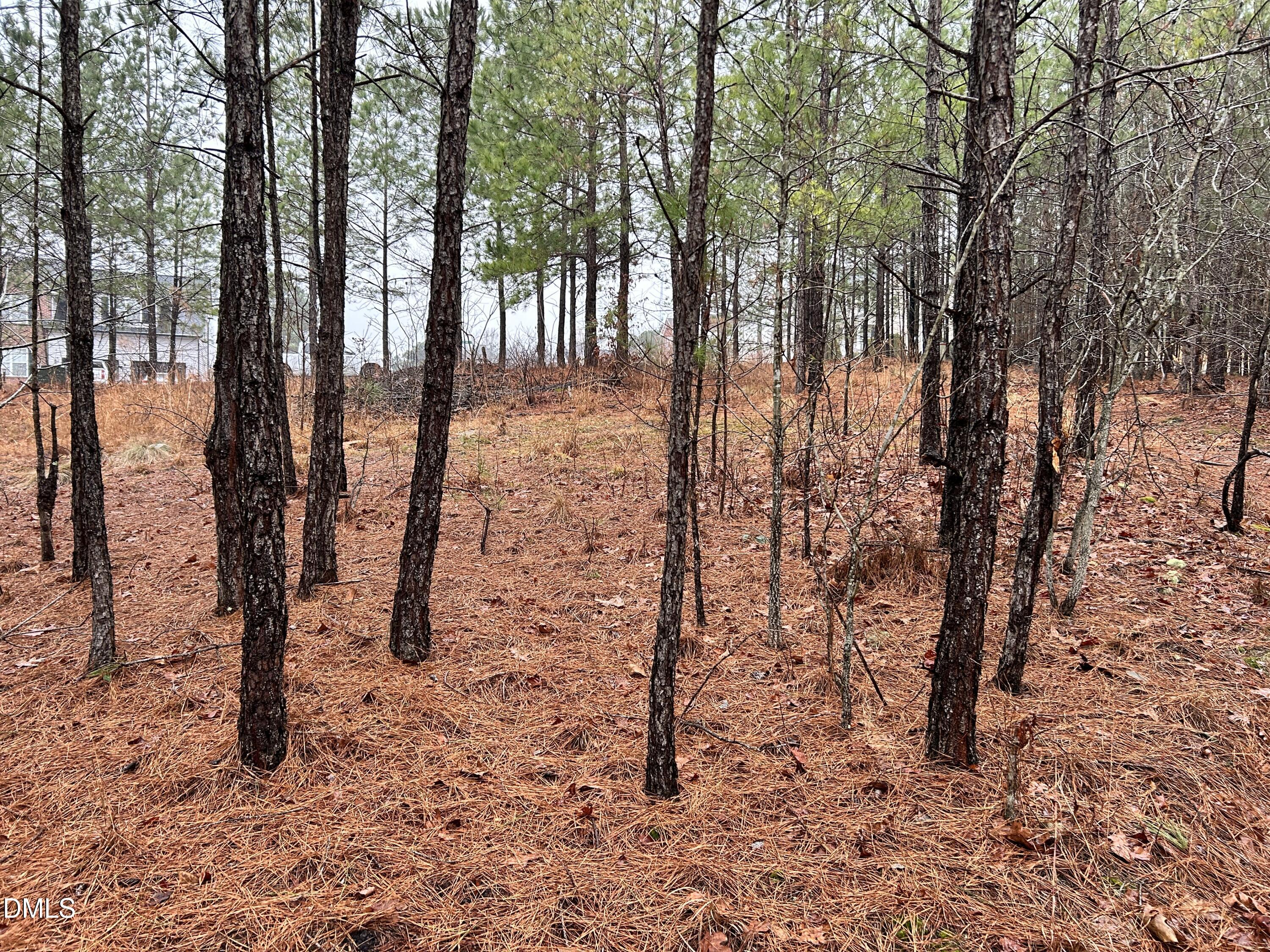 195 Appleton Way Sanford, NC 27332 - Photo 13 of 21 IMG_6899