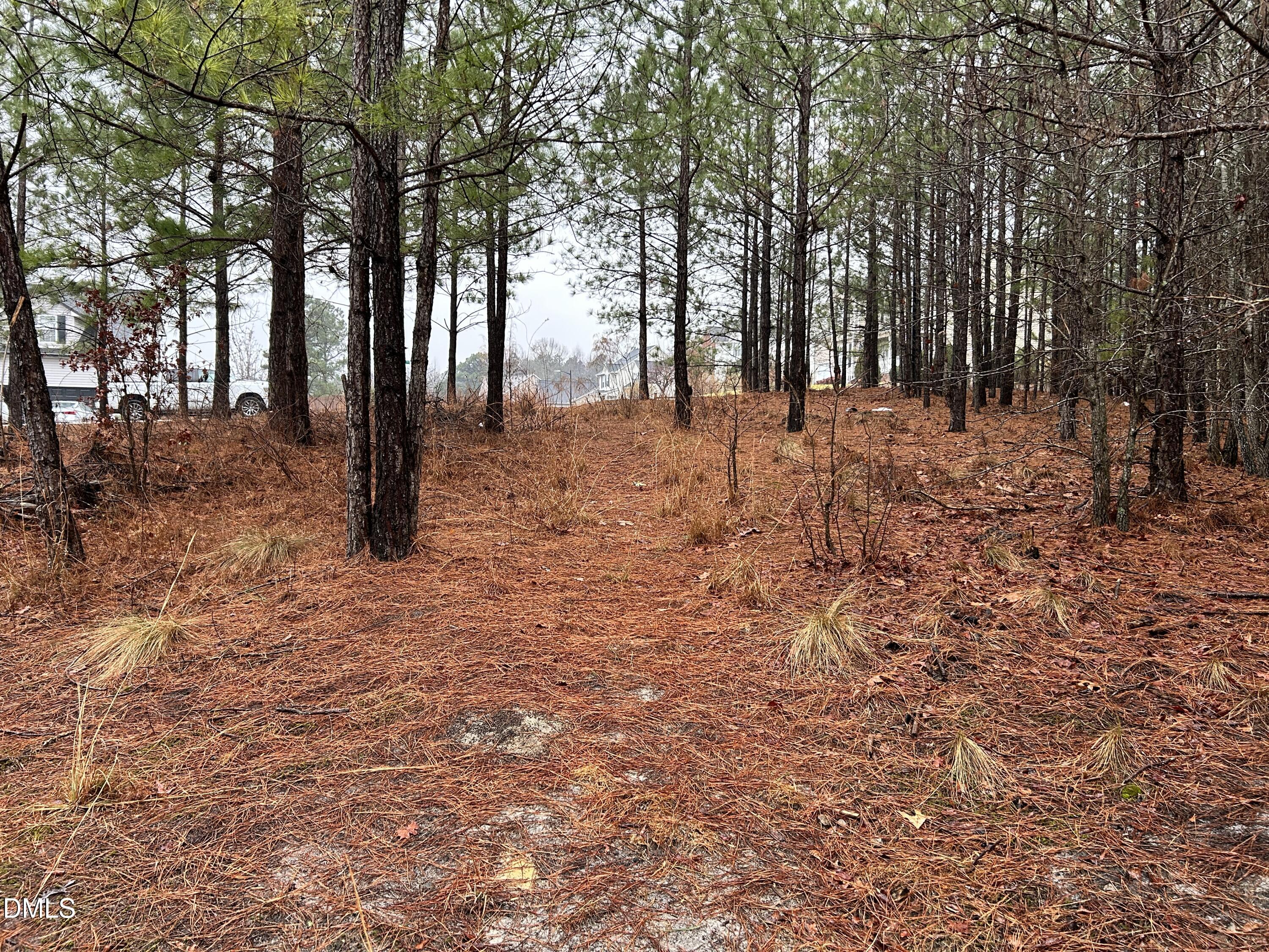 195 Appleton Way Sanford, NC 27332 - Photo 14 of 21 IMG_6901