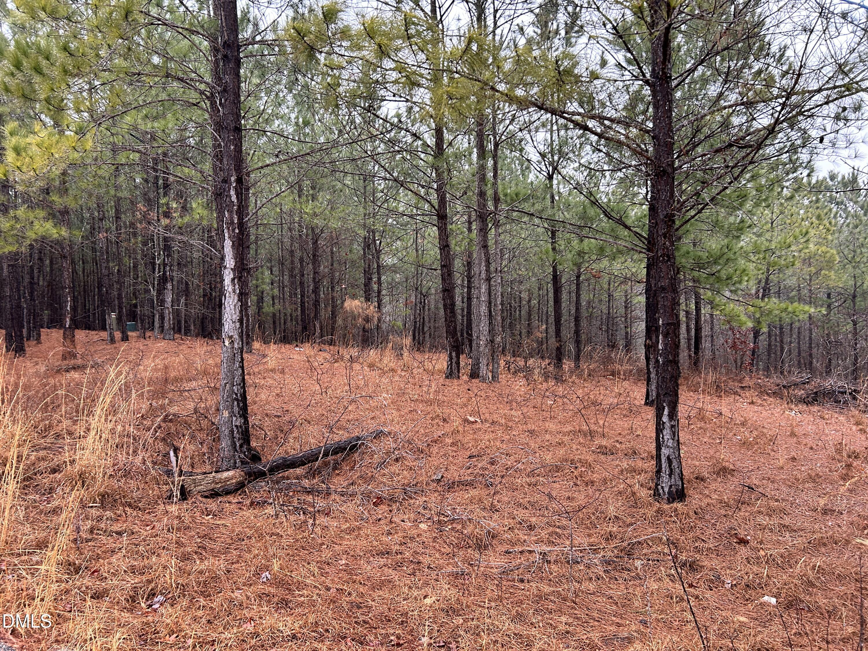 195 Appleton Way Sanford, NC 27332 - Photo 15 of 21 IMG_6902