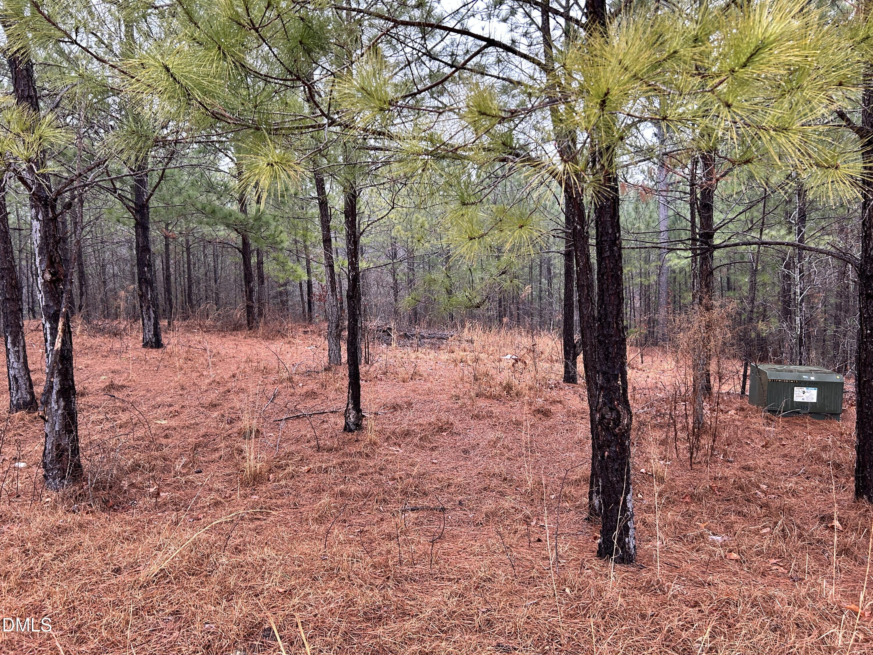 195 Appleton Way Sanford, NC 27332 - Photo 16 of 21 IMG_6903