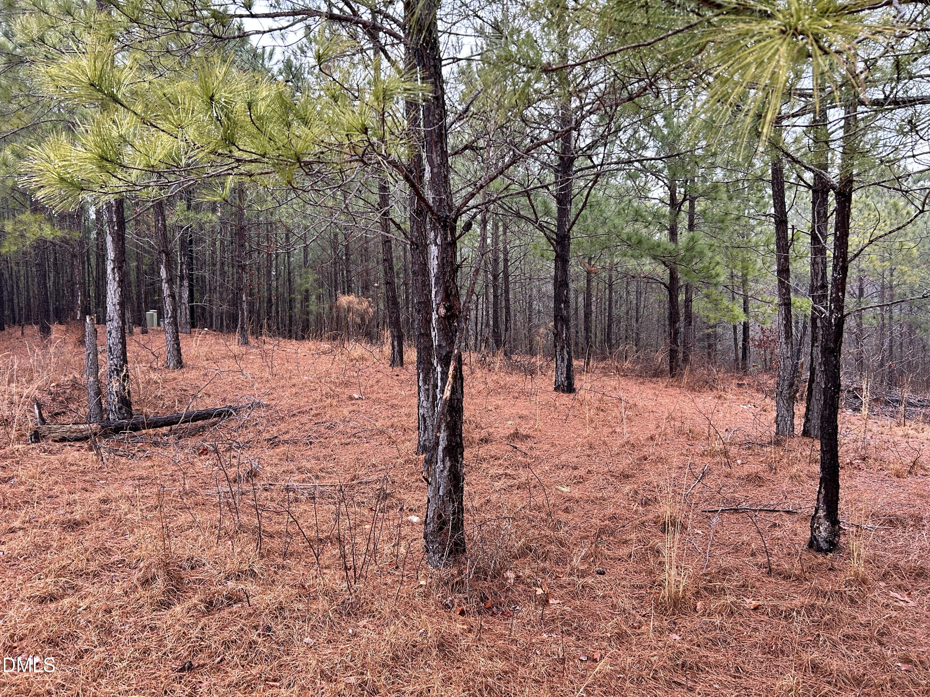 195 Appleton Way Sanford, NC 27332 - Photo 17 of 21 IMG_6904