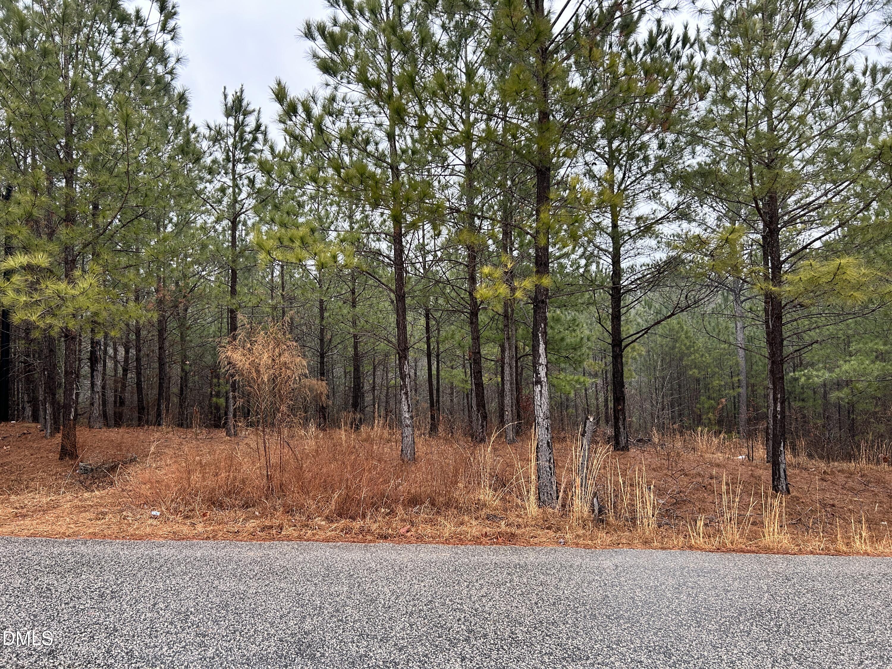 195 Appleton Way Sanford, NC 27332 - Photo 20 of 21 IMG_6909