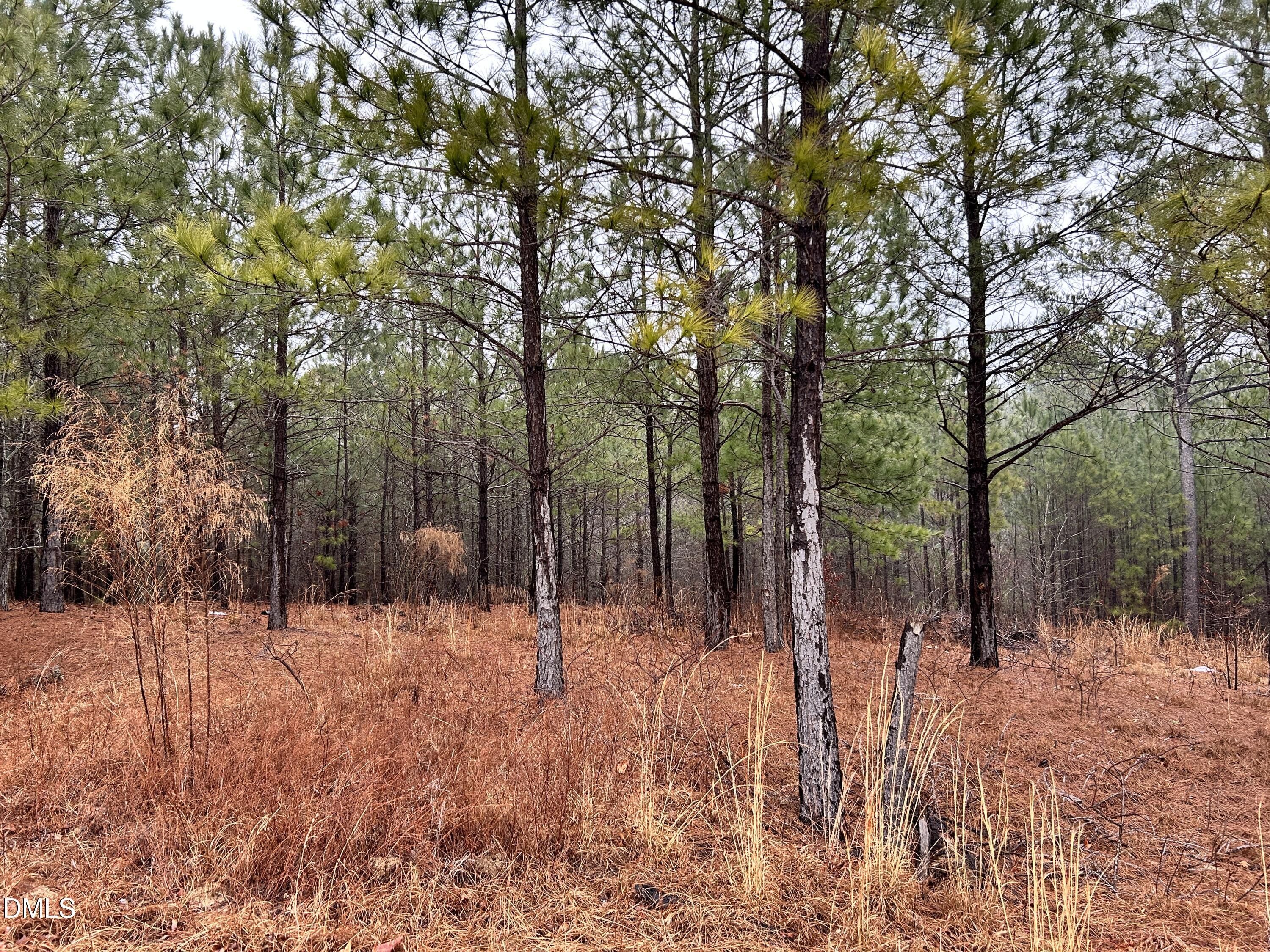 195 Appleton Way Sanford, NC 27332 - Photo 21 of 21 IMG_6910