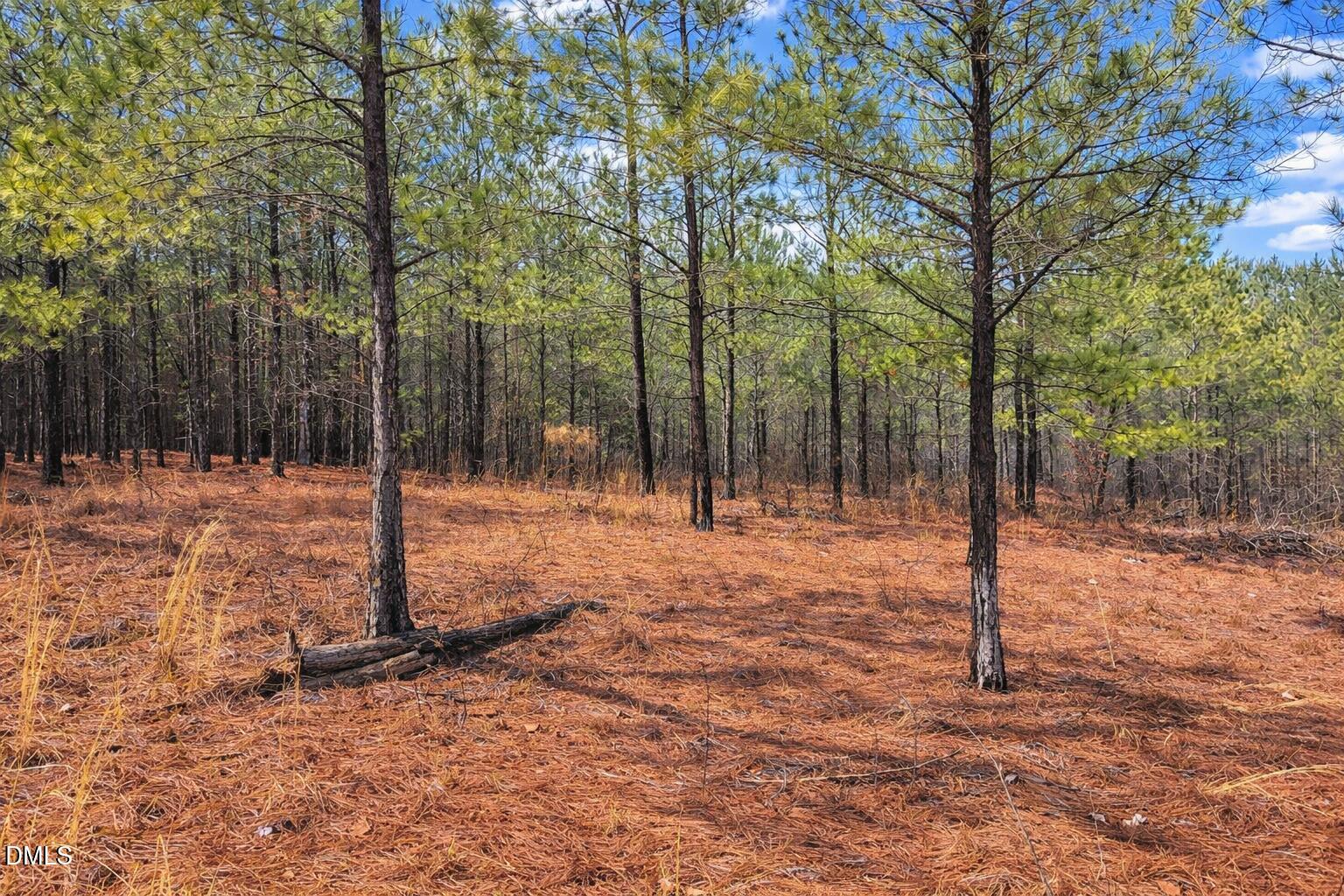 195 Appleton Way Sanford, NC 27332 - Photo 3 of 21 5