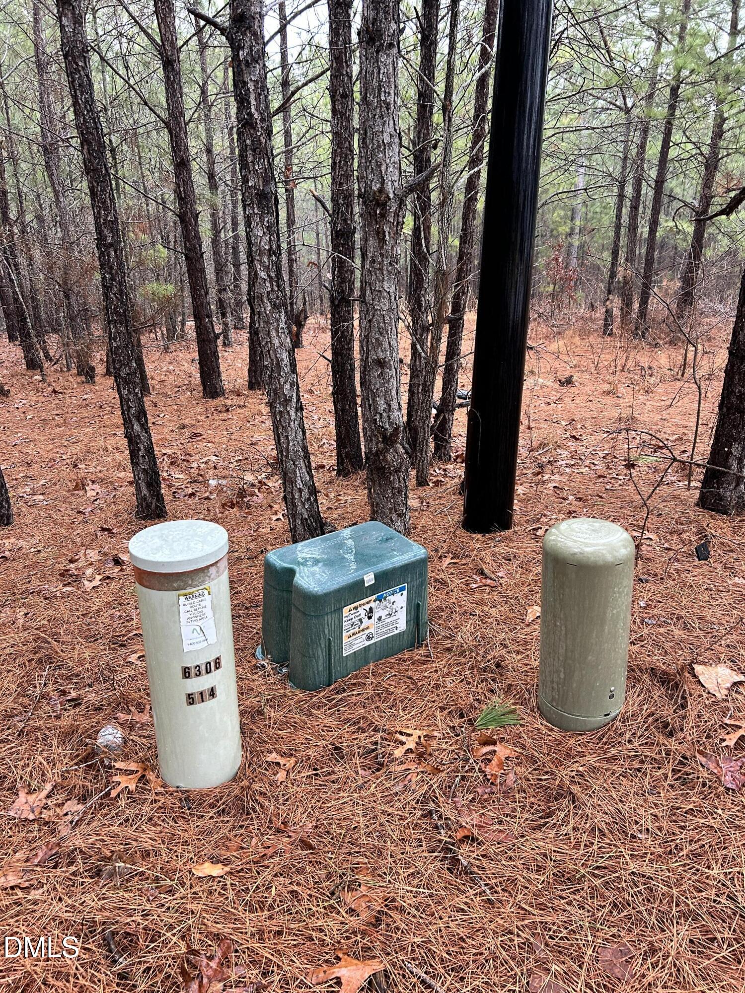 195 Appleton Way Sanford, NC 27332 - Photo 4 of 21 IMG_6890