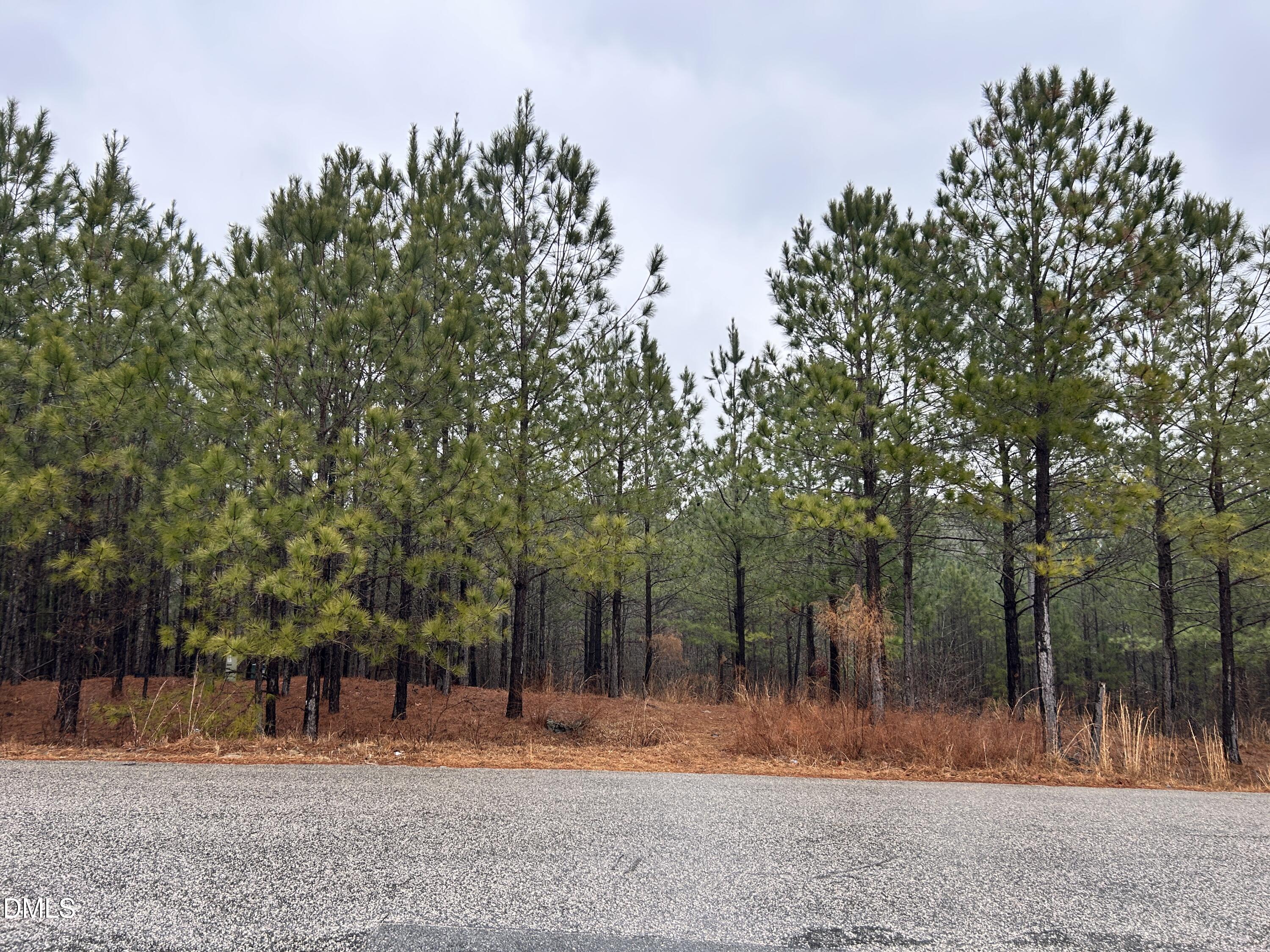 195 Appleton Way Sanford, NC 27332 - Photo 6 of 21 IMG_6893