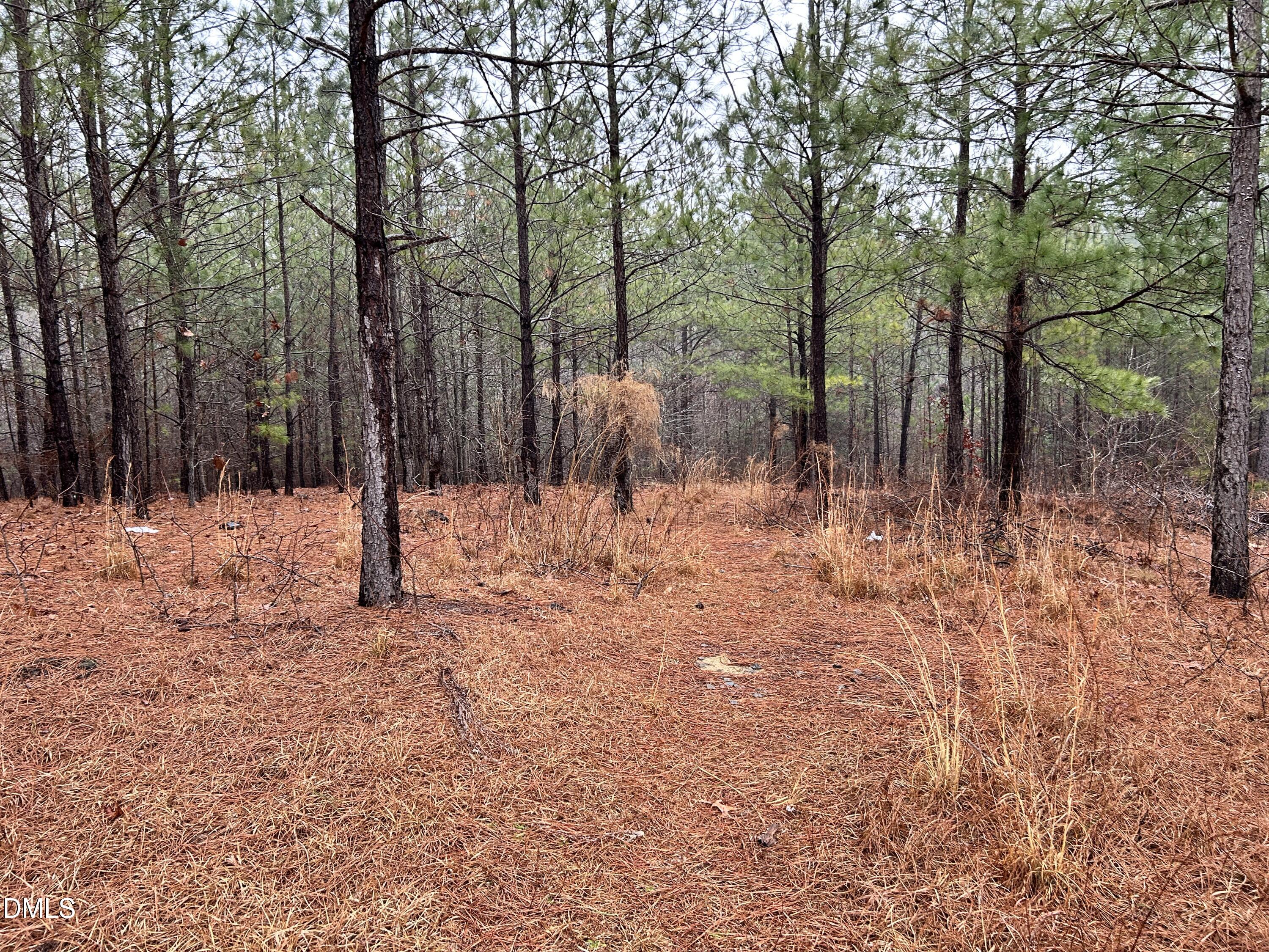 195 Appleton Way Sanford, NC 27332 - Photo 8 of 21 IMG_6895