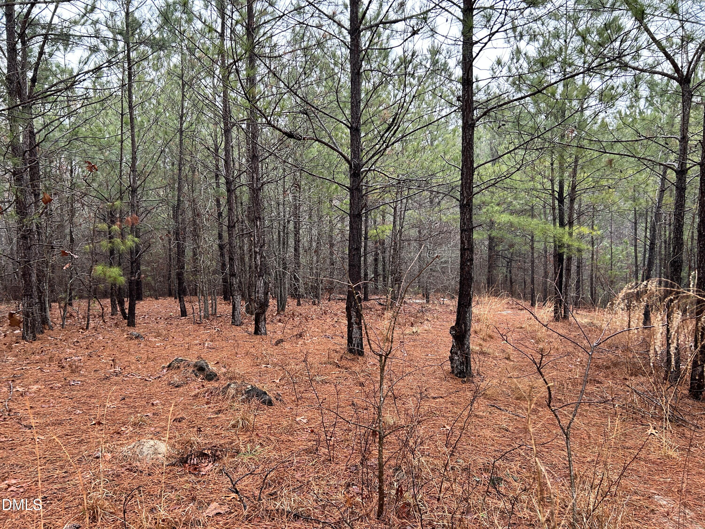 195 Appleton Way Sanford, NC 27332 - Photo 10 of 21 IMG_6896