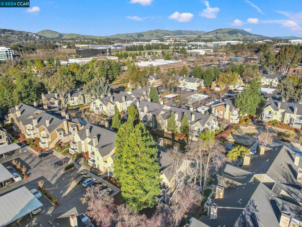 285 Reflections Drive San Ramon, CA 94583 - Photo 35 of 42 an aerial view of residential houses with outdoor space and trees